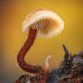 ����-����������: ������ ����� ������� �����