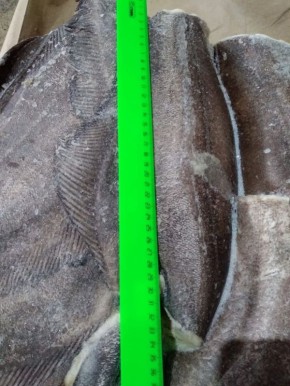 ��������� ������: ����� �������� � ����������� ��������