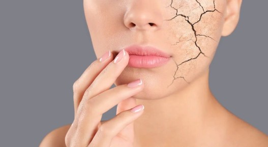 ������������ ����: ��� ���������� � ��� � ��� ������