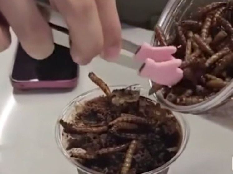 Кофе с экзотикой: в Пекине начали вредные, но полезные напитки с насекомыми