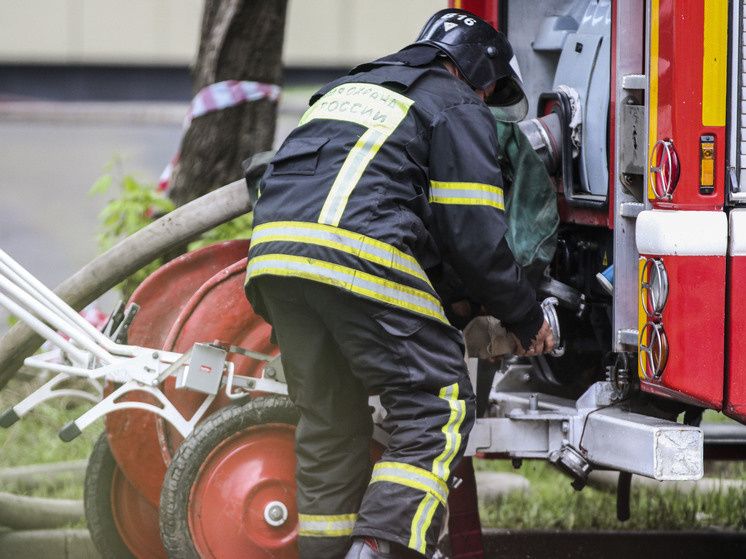 �������� �� �����: ���� ������ ����������� ������ ��� ���������