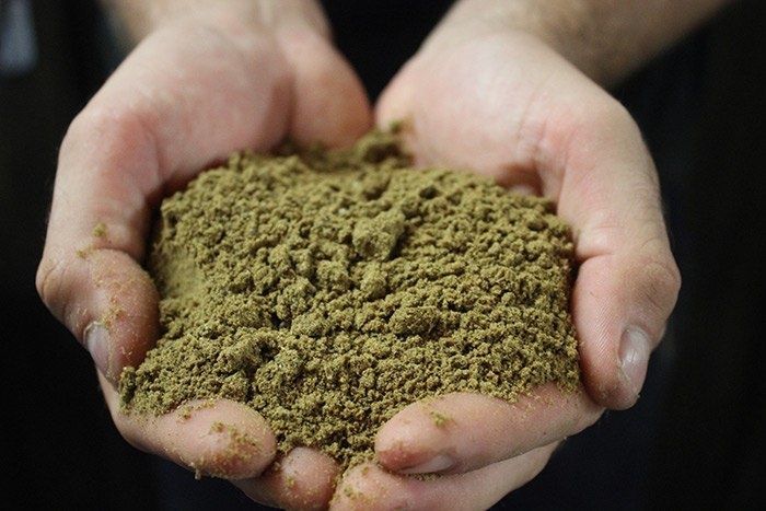 ���� ������������ ������ ���� � ����: ������� ������ ������������ �����