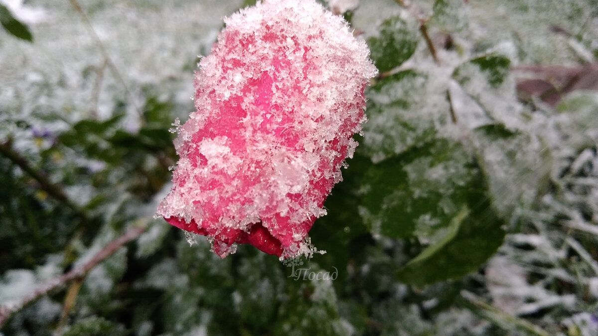 ��� ���������� ����� ����������: ��� �������� �������