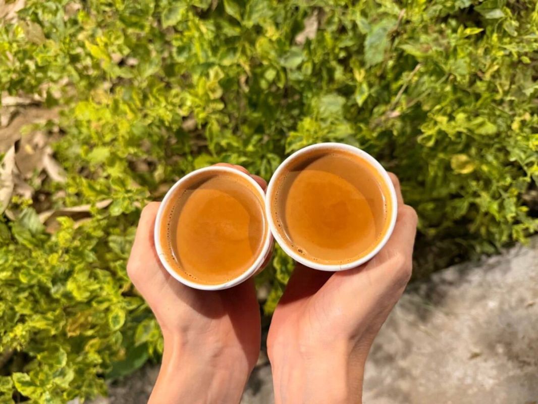 ������ � ������ �����: ��� � ��� ������������ ���� ��������