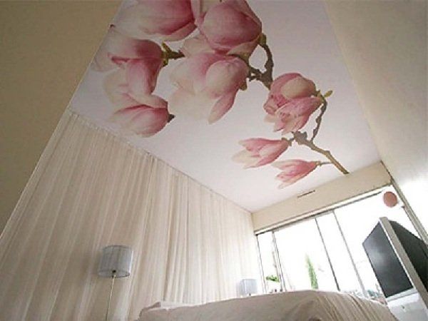 ������� ������������� ��������� �������: ��� ������� ��� ������ ������