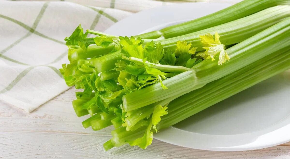 Сельдерей и сахарный диабет: как правильно включить в рацион