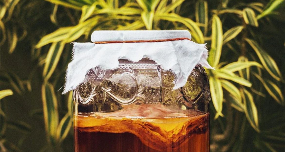 Чайный гриб: целебный напиток или риск для здоровья?