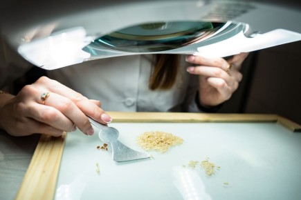 ��� ��������� ������� �������� ����: ������� ��� �������� � ��������� �������������