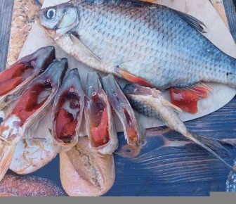 Что важно знать о копчении рыбы