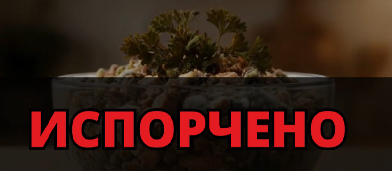 Новогодние блюда: когда пора прощаться с любимыми угощениями