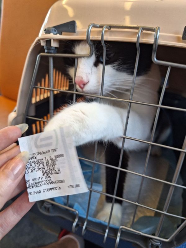 ������ ��������: ������� ���� ��� ������� ����