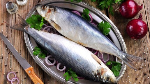 ���� �� ���� � ������ ���������� �����: �������� ��������� � ����������