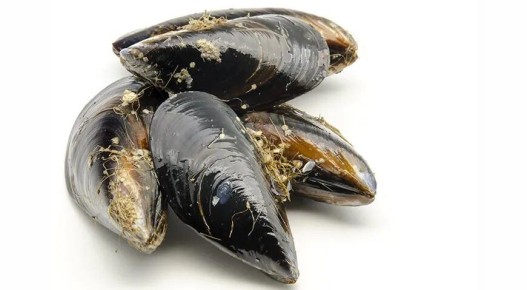 ��� ����������� ����� �� ���������: ������� ������� � ������