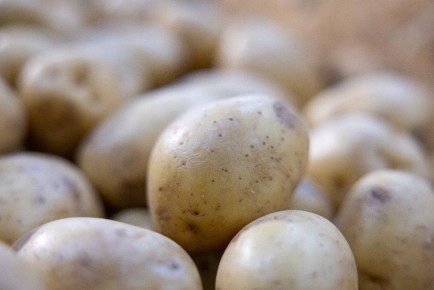 ���������� ��������� ���� ������� �� ����������� ����� ���������