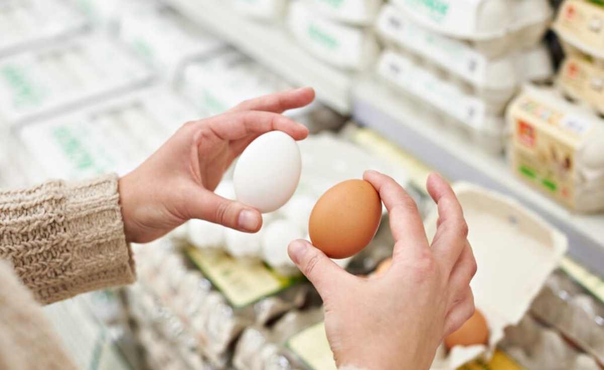 Как выбрать качественные яйца: секреты от продавца из Пятерочки