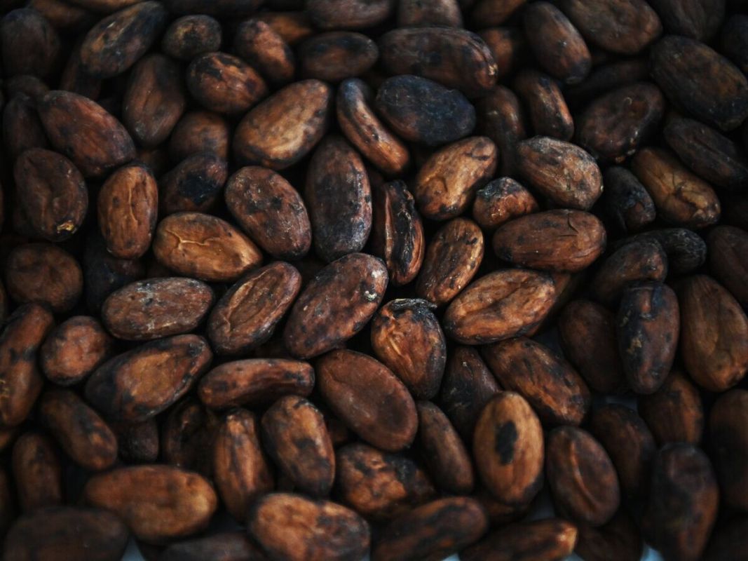 �����-���� ������ � ����: ������� ��� ����� ���������