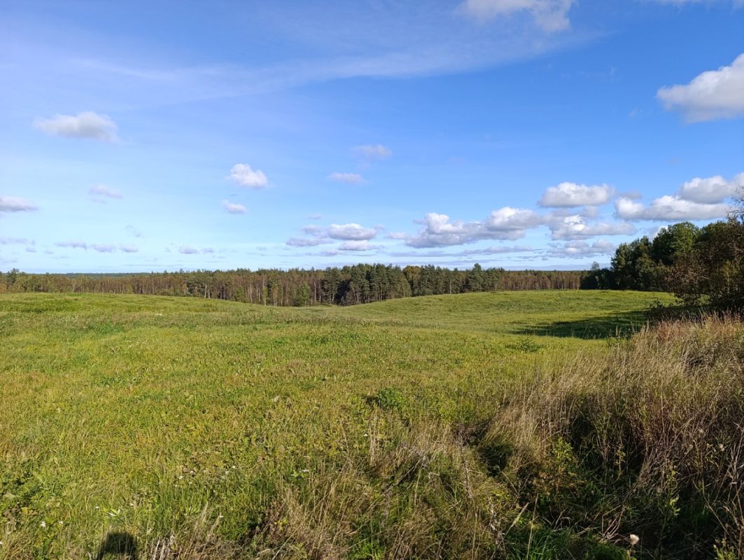 �������� ����� � ������: ������� ����������� � ����������� ������