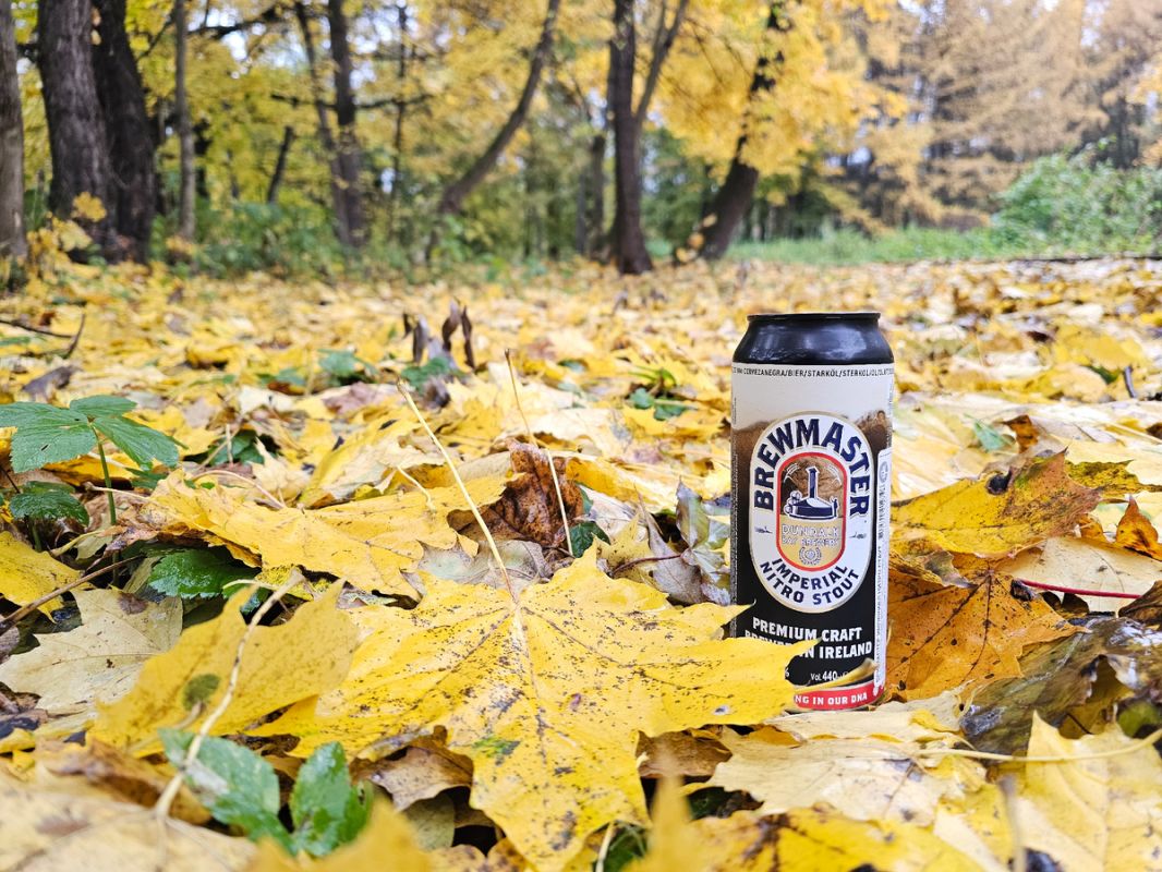 ��������� ����� �� �����: ��������������� ���� ����������� ����