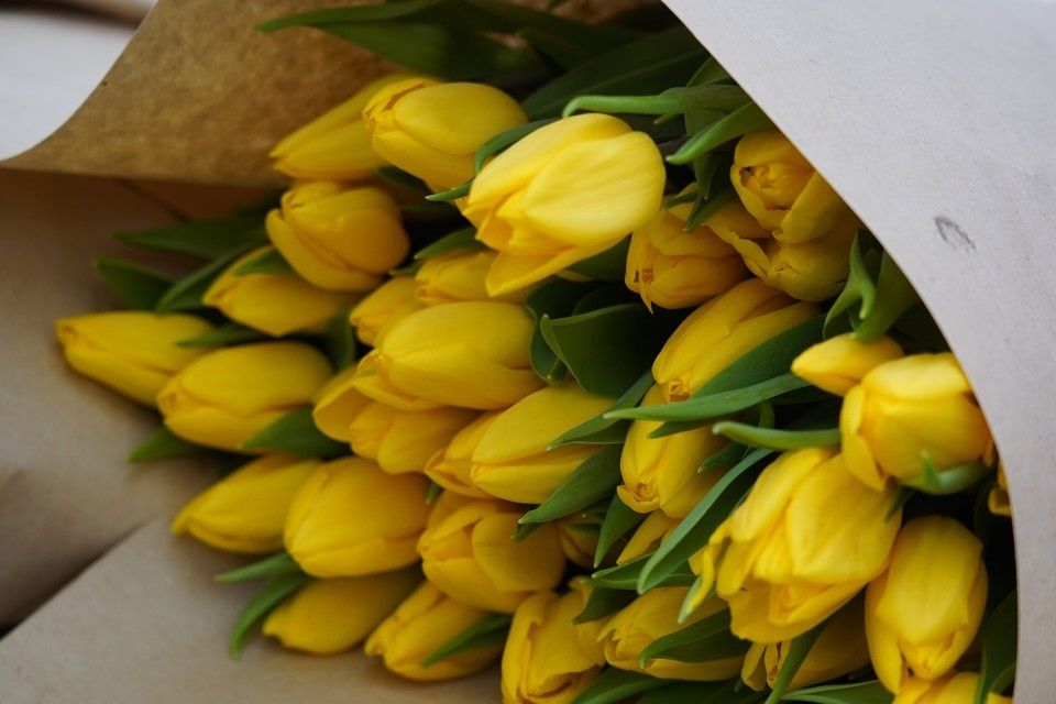 ��� ��������� �������� ����������� �������: ������ ��� �����������