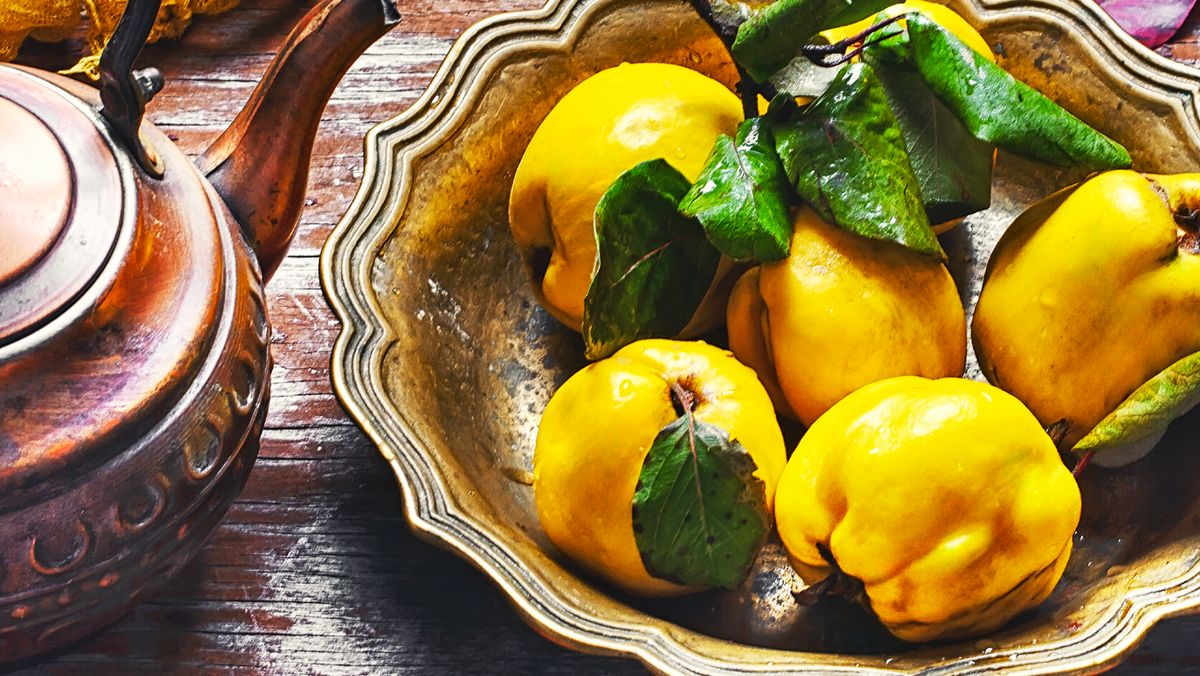 ����: ����� ������ � ����� ��������