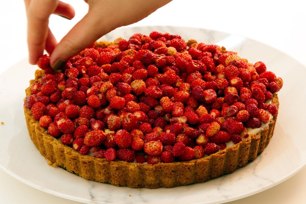 ������� �����������: ��� ����������� ����� � ����������