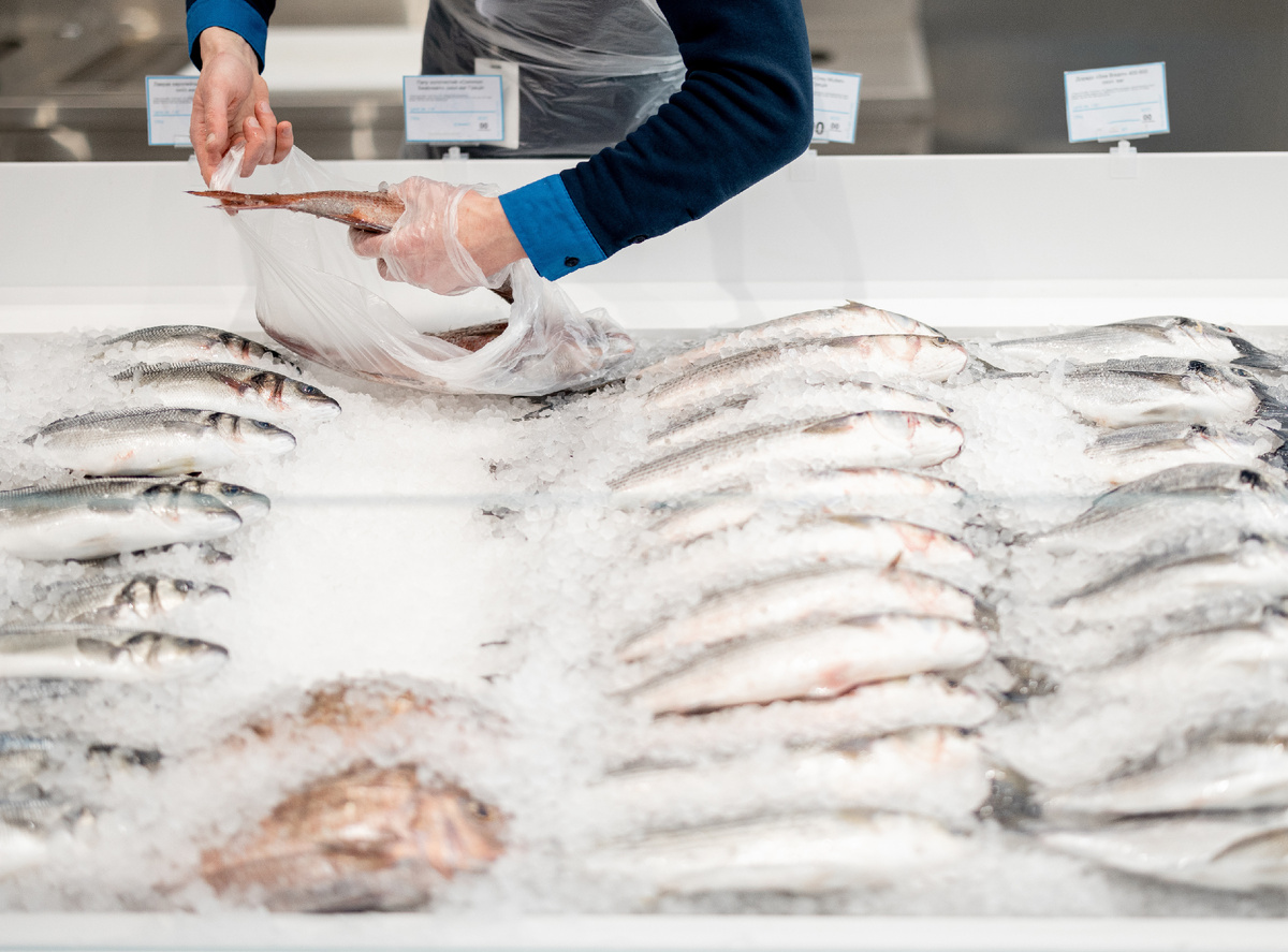 Как правильно хранить рыбу и избежать отравления