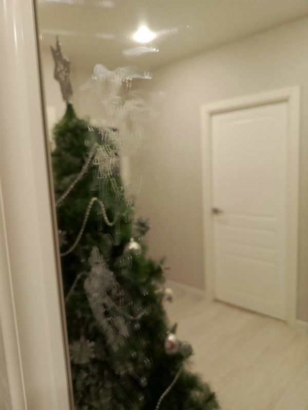 ���������� ������� �� ���� � Wildberries: ��� ����� ��������