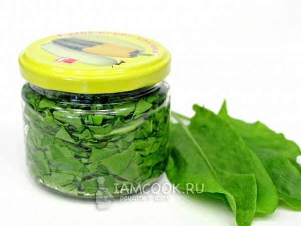 ��� ���������� ������ �� ����: ���� ������� �������� � ������������ �������