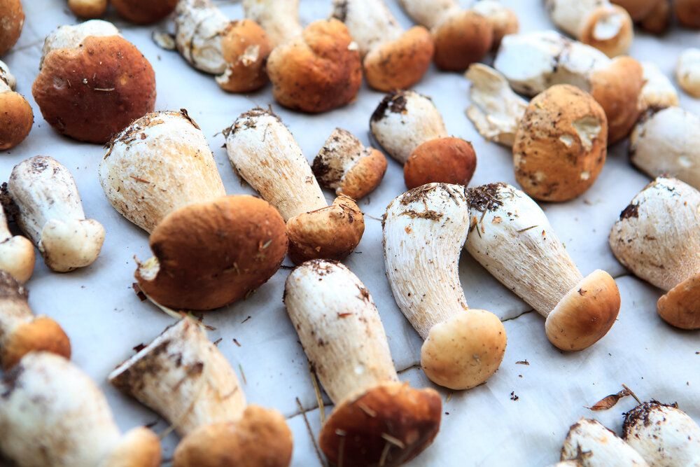 �������� ����� ������: ��� ��������� ������� �� ����