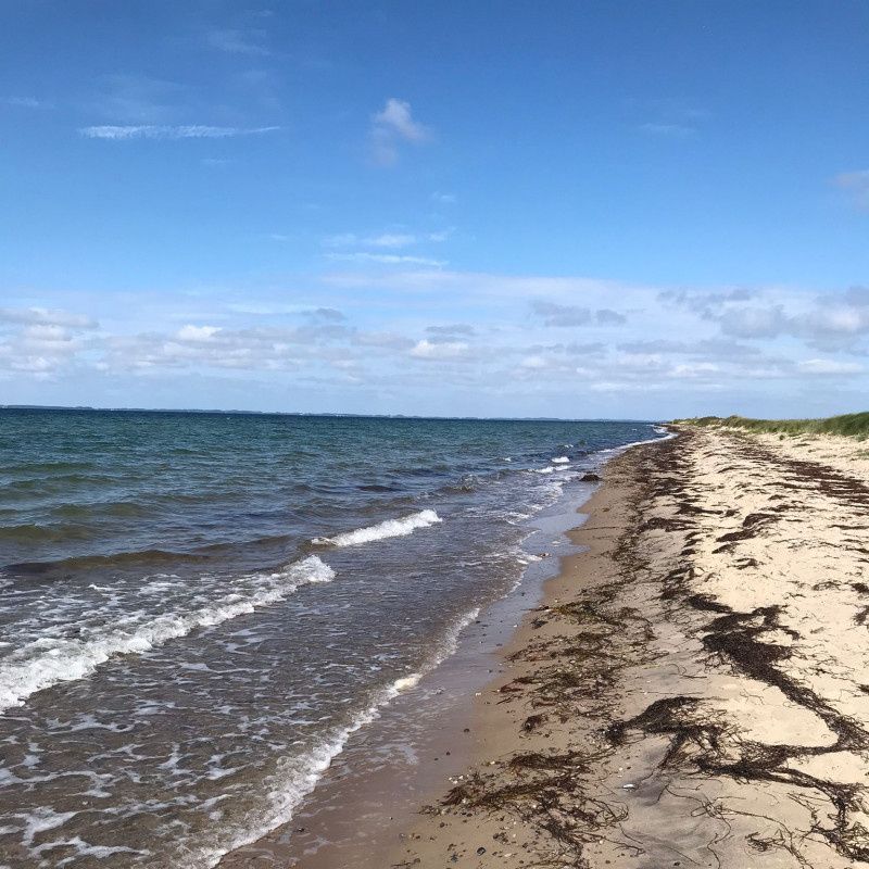 ��������� ����������� �� ������: ����� �� �������