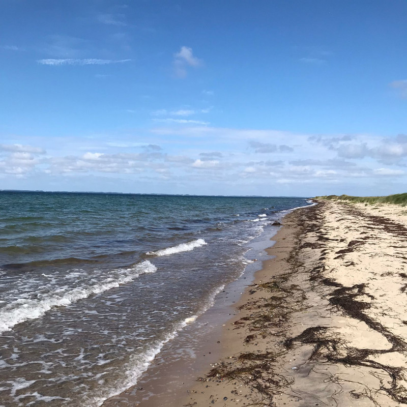 Необычные приключения на берегу: охота за янтарем