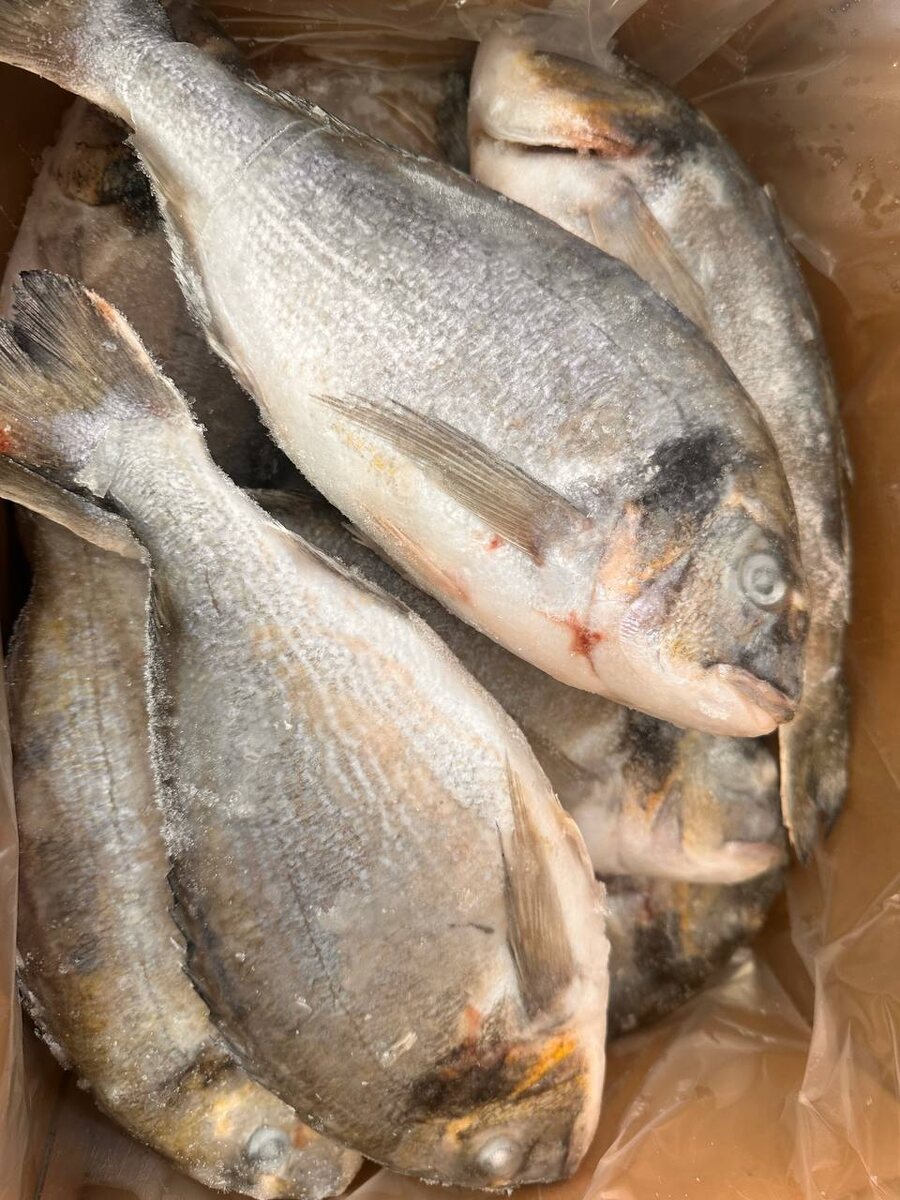 Дорадо: Шикарный вкус на вашем столе по доступной цене