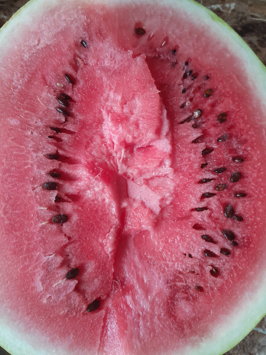 Как выбрать идеальный арбуз: секреты, которые удивят даже знатока