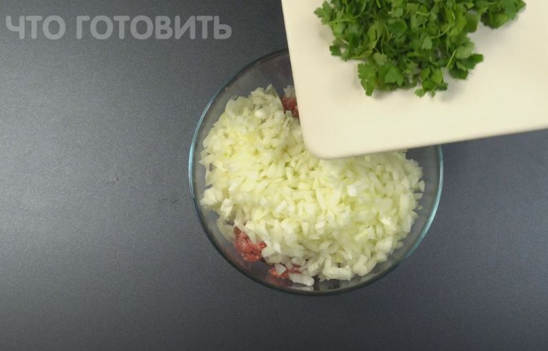 ����� �� ������: ������� � ������� ������ �� ������ ����