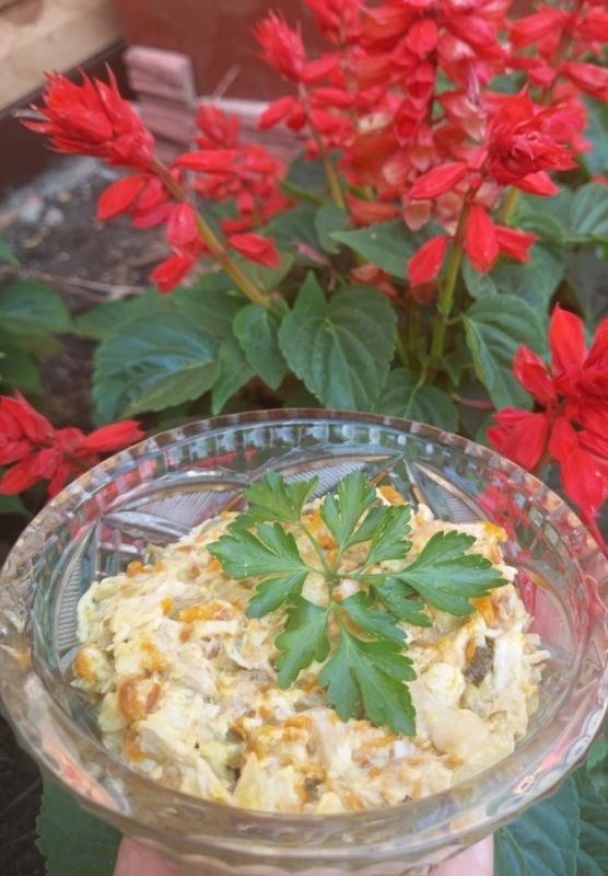 ��������� ����� ��� ���������: ������ ��������