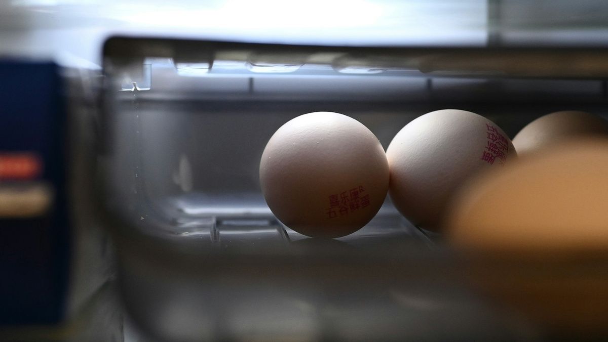 ������ ������ ������� ������� ���� �� ������ ������������