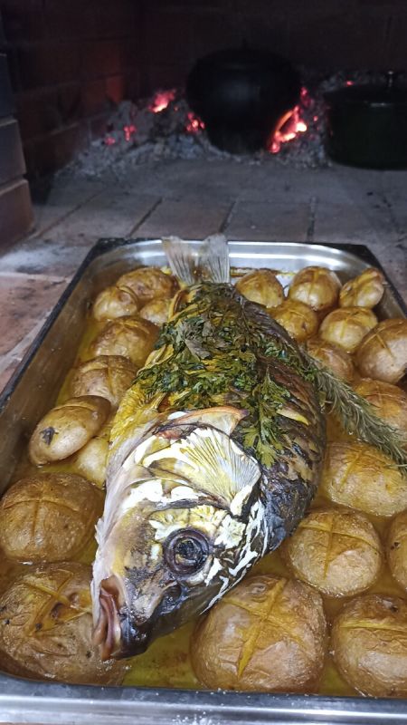 �����, ���������� � ������� � ������� ����