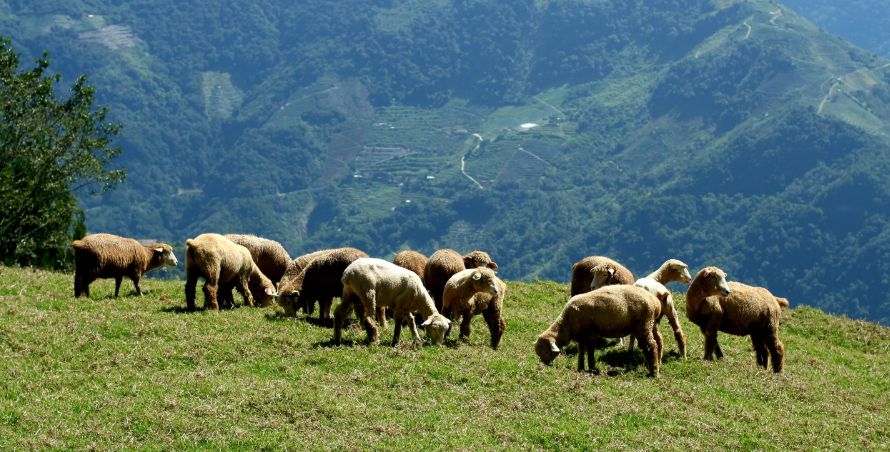 ��� ����� � ��������� ���������� �����