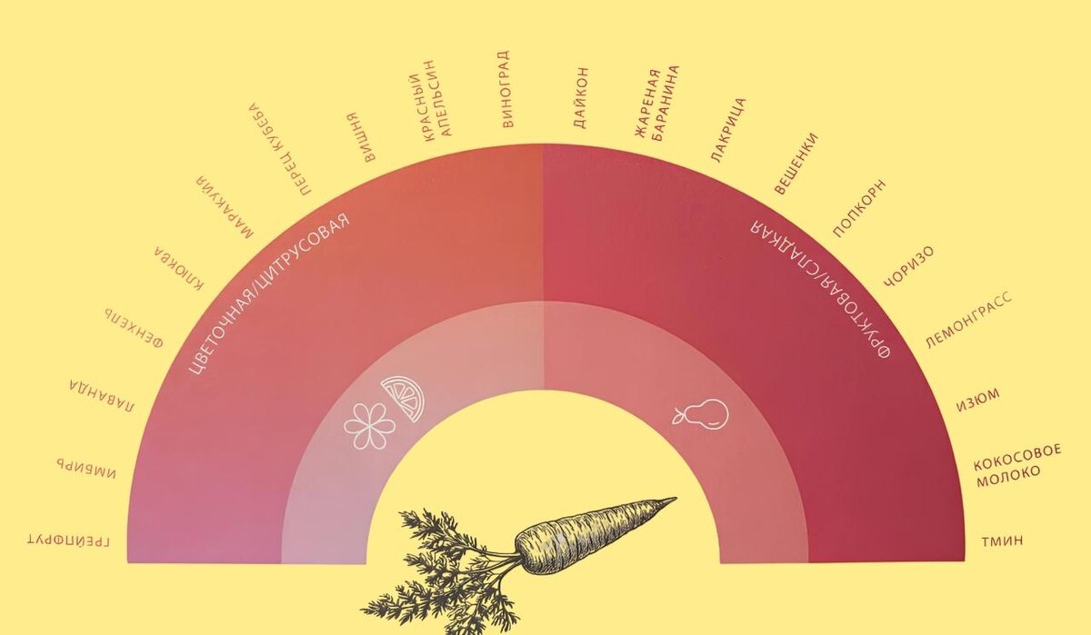Насыщенные сочетания моркови