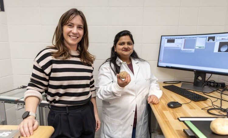 ����������� ���������� ����� ����� ������ ����������� ��������� ��� ��� �����������