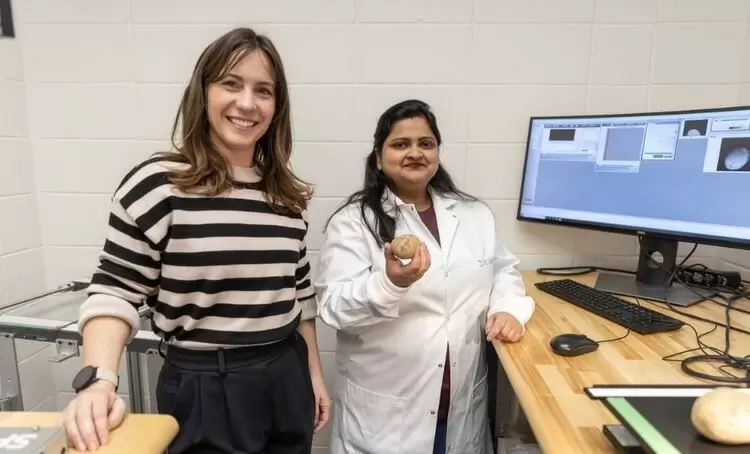 Специалисты обнаружили новый метод оценки токсичности картофеля при его позеленении