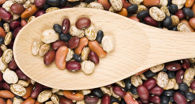 ������: �������� ��������, �������� ������������ � ������� �������������