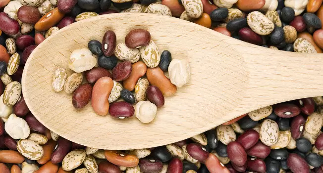 Фасоль: полезные свойства, сортовой разнообразие и секреты приготовления