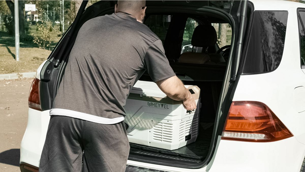 ����������� �������� MEYVEL: �������, ��������� � ������� � ������������