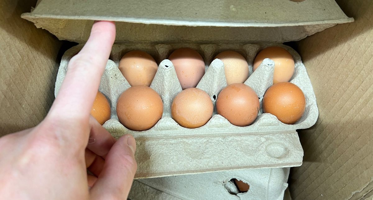 ������ ��������: ��� ������ ���� ������� ���������