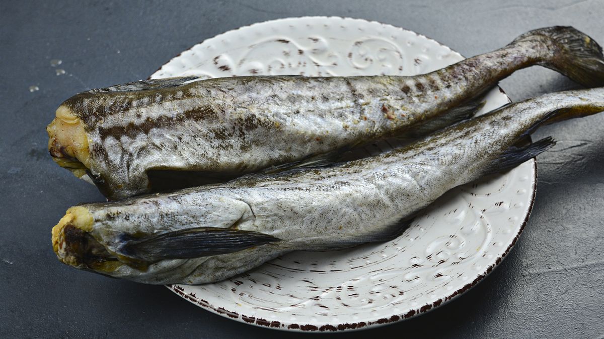 ������ � �������: ������� � �������� ����� ��� ���� �����