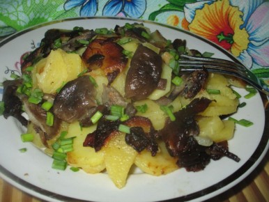 ������� �������� � �������: ����, ������������ � ������ ���