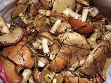 ������� ����� �� ��� ���: ��� ��������� �������� �������� �������� ������ � ������