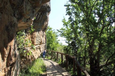 ���������� ���������� ��������: ������� � ��������� ��� ����� ������