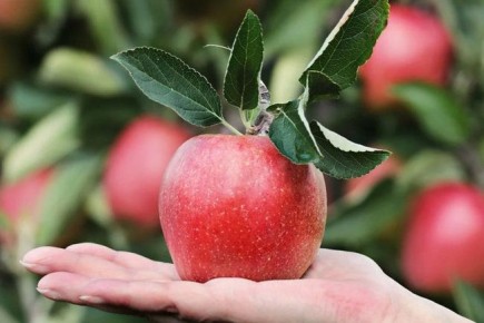 ���������� ����: �������� ������� �� ���������